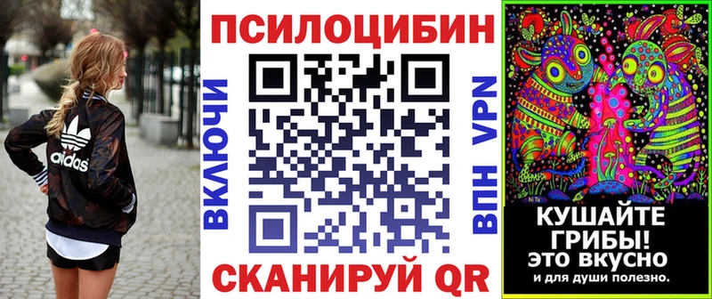 Псилоцибиновые грибы GOLDEN TEACHER  Шелехов 